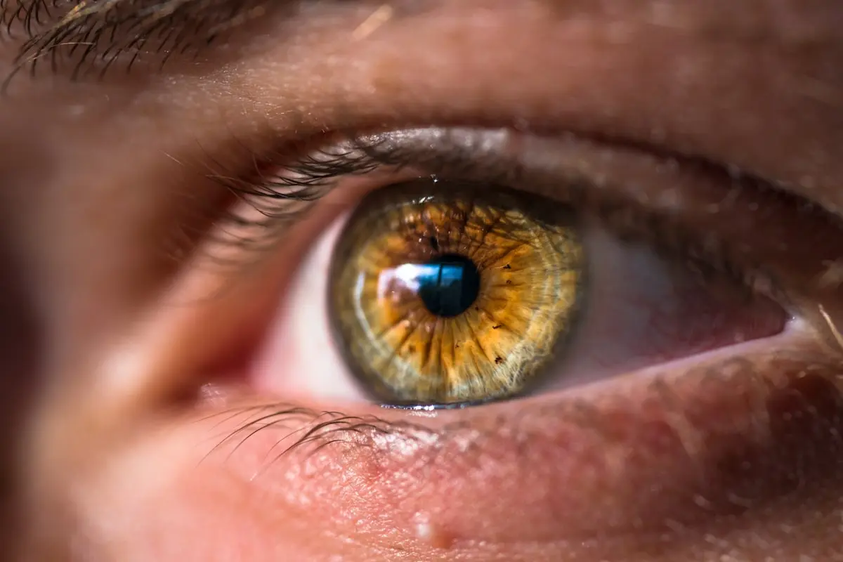 Optomap Retinal Imaging